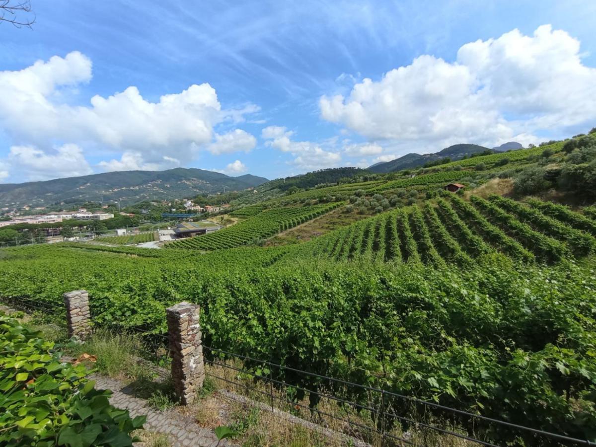 Al Vigneto Leilighet Sestri Levante Eksteriør bilde