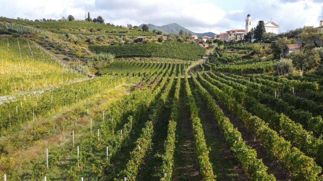 Al Vigneto Leilighet Sestri Levante Eksteriør bilde